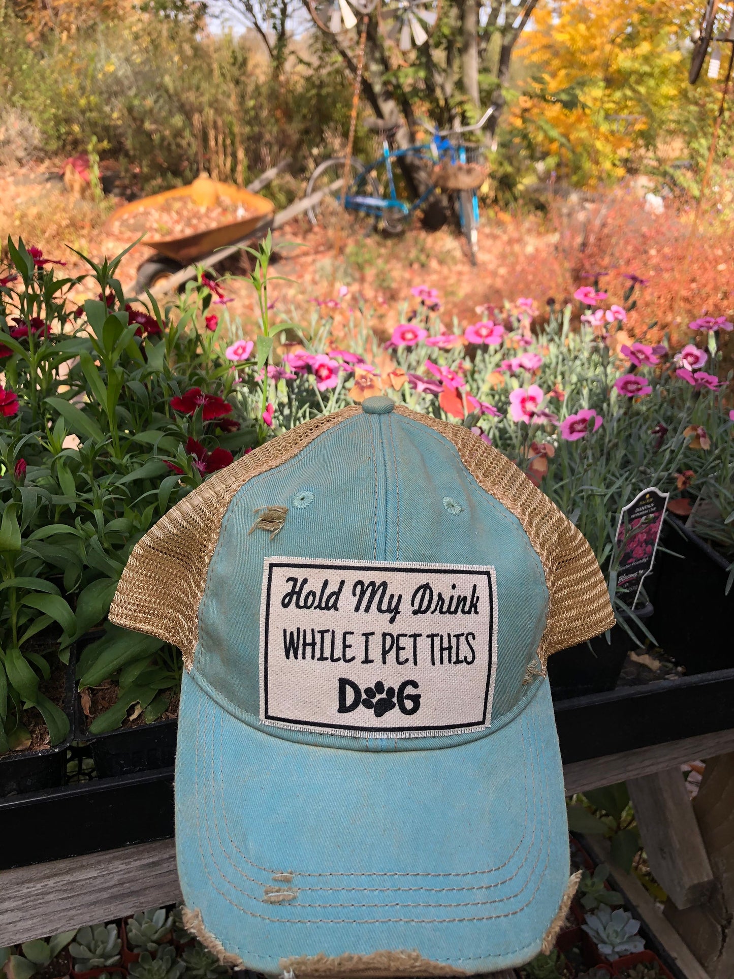 "Hold My Drink While I Pet This Dog" Distressed Trucker Cap