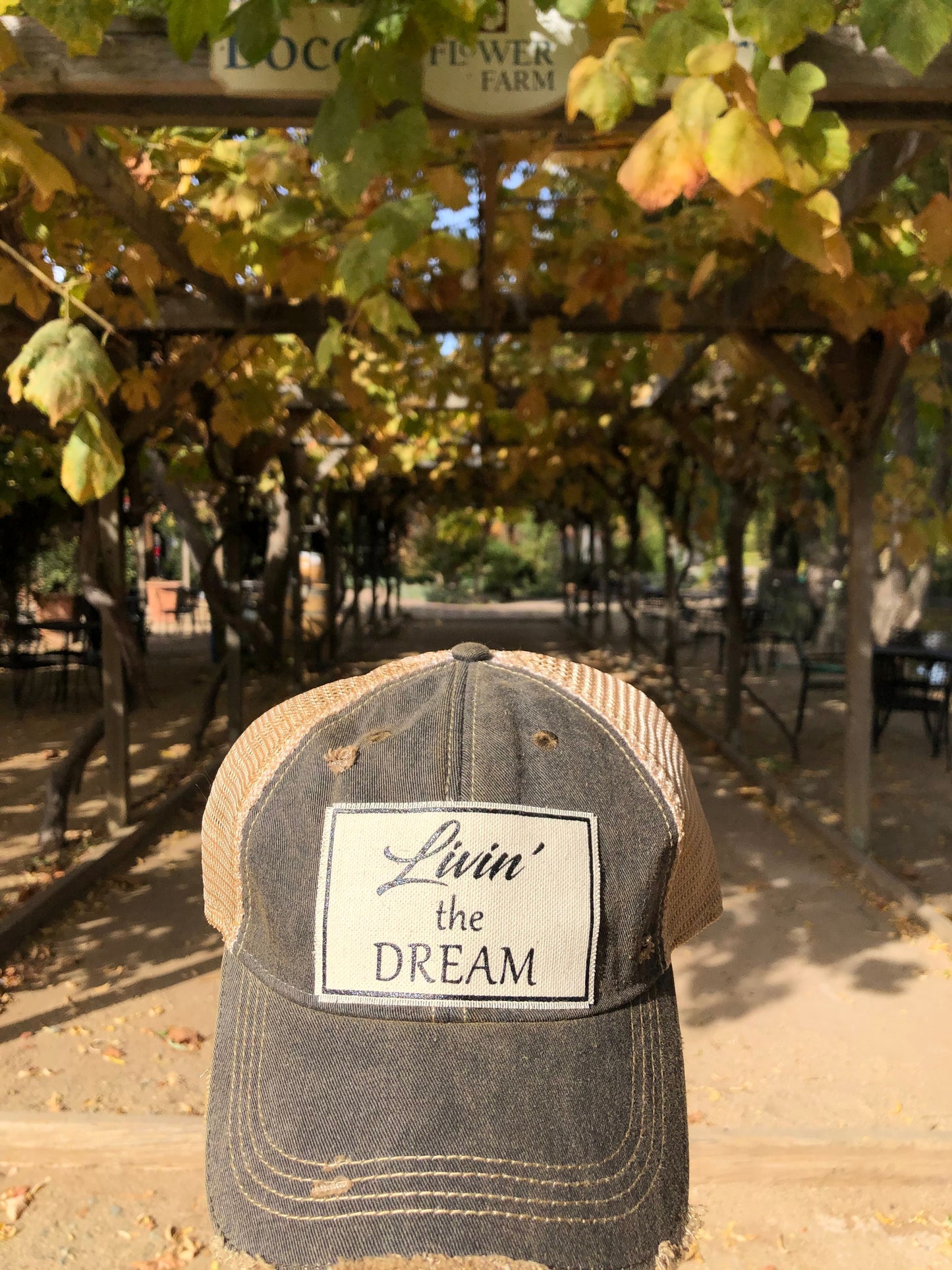 "Livin' the Dream" Distressed Trucker Cap